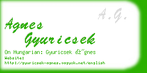 agnes gyuricsek business card